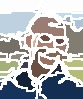 Nate Foster