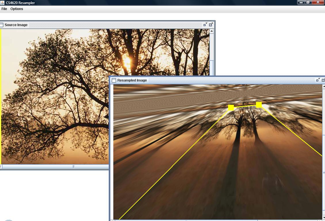 Perspective Resampling