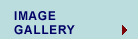 image Gallery