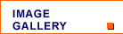 image Gallery
