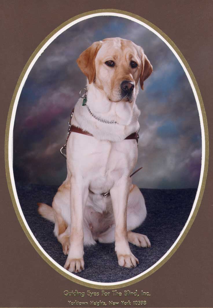 Hubbell Labrador