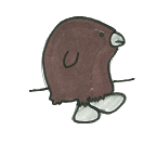 Ballard's Protoduck