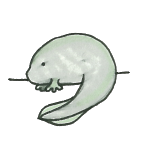 Gray Floop