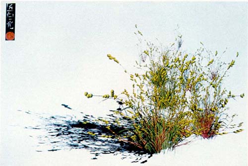 Plants modeled using a particle system [Reeves 1983]