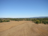 Field east of Sunken Road from tower