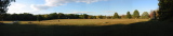 Wheat Field panorama
