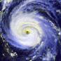 cyclone2.gif (7839 bytes)