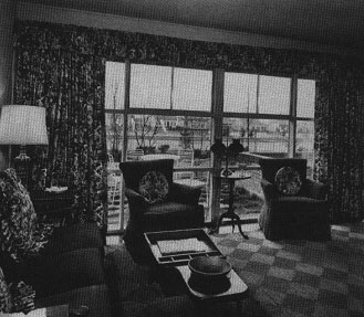 A Davy Crockett inspired living room (As Seen on TV p 125)