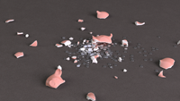 fracture