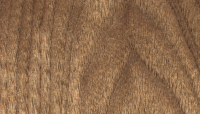 oak photo