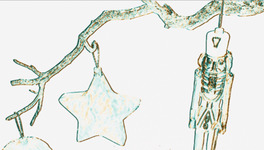 rendered image derivative