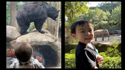 Comparison with 3D Photo