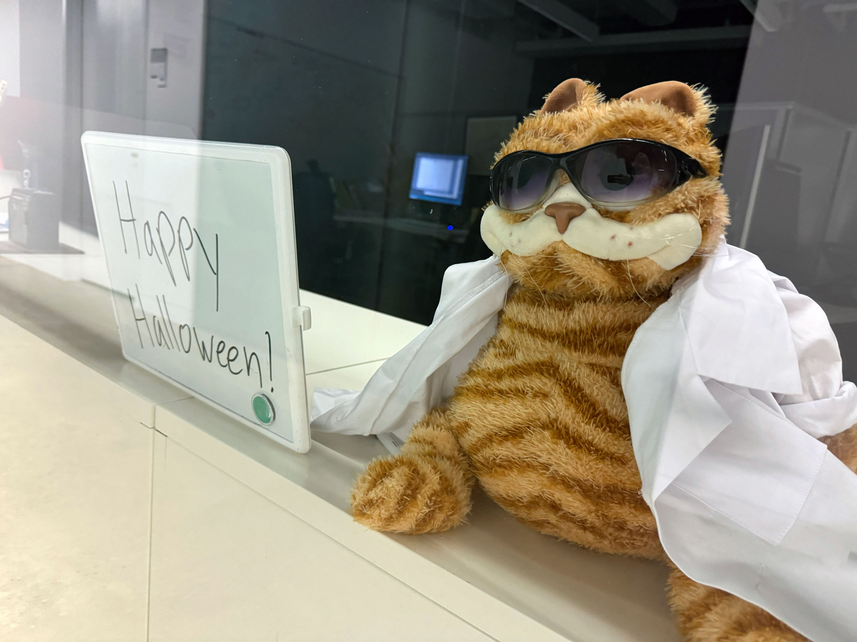 Lab Cat Halloween 2024