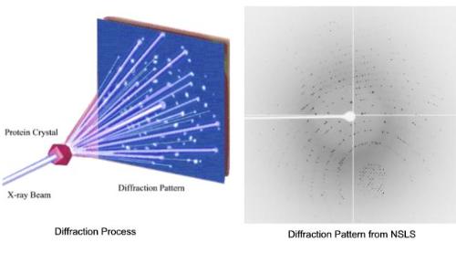 Electron diffraction, elemental and image analysis of nanocrystals