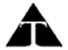 Triad Foundation 