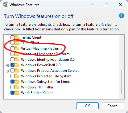 15-VirtualMachinePlatform