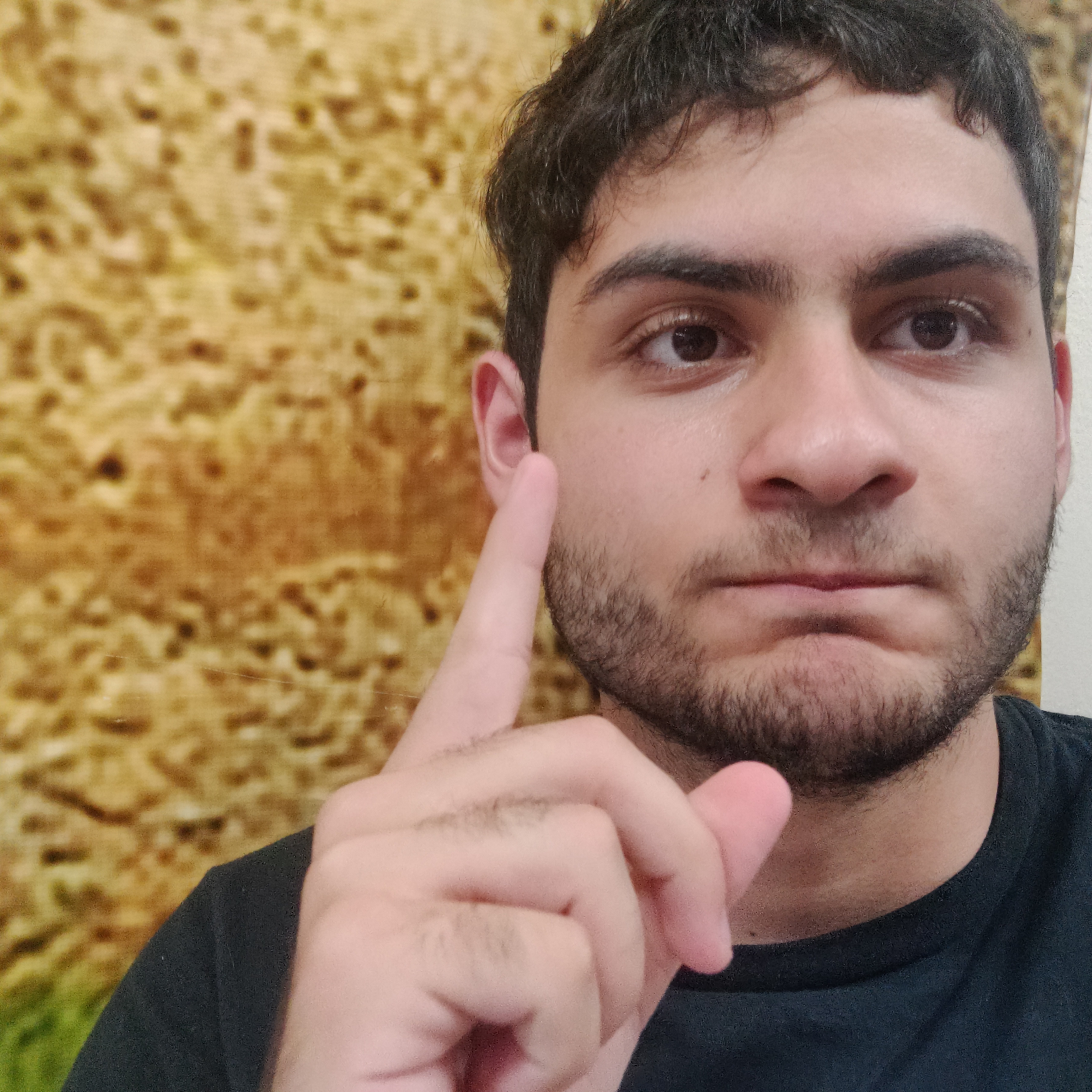 Photo of Mikael Andreasyan