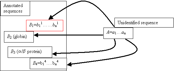 Chapter 1: Sequence alignment