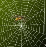 ../../images/web1.jpg
