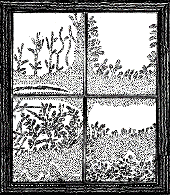 ../../images/window.gif
