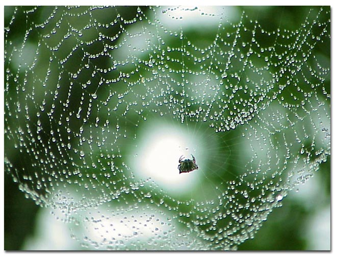../../images/web3.jpg