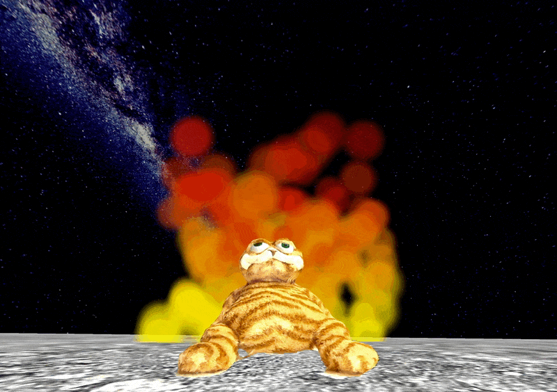 Some cats just want to watch the world burn