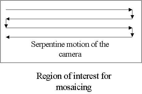 wpe3.jpg (15183 bytes)