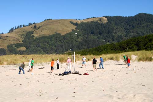 beachVolleyball1