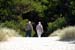 beachWalkAway