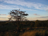 Little Round Top looking North