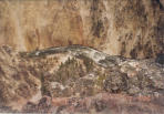 14-YellowRiver
