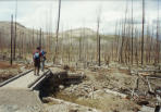 26-Marsland