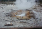 03_ShellSpring