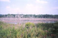 17-yazero2