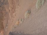 m4100258.jpg