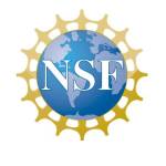 A color logo with the text "NSF"