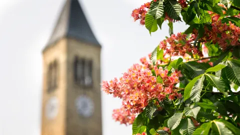 A color photo showing McGraw Tower on the Cornell University campus in Ithaca, NY