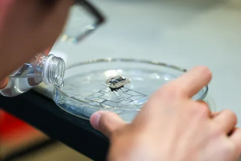 A color photo showing a man pouring water into a small dish.