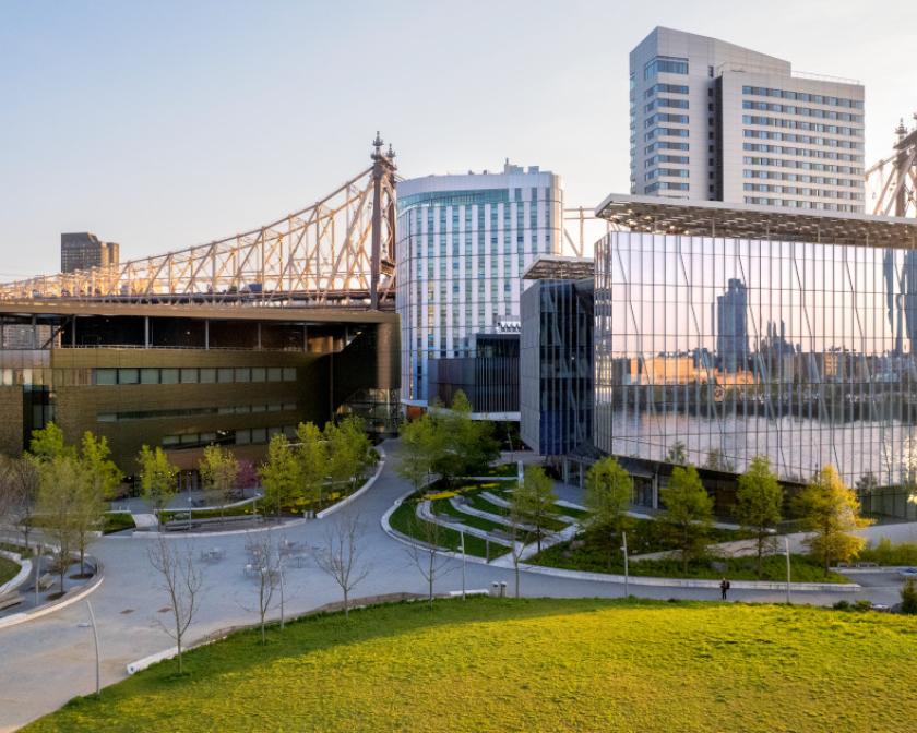 green grass in front of silver and glass covered buildings with a bridge and city skyline in the background