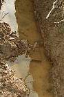 (3624 bytes)