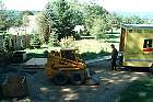 photo 137.jpg