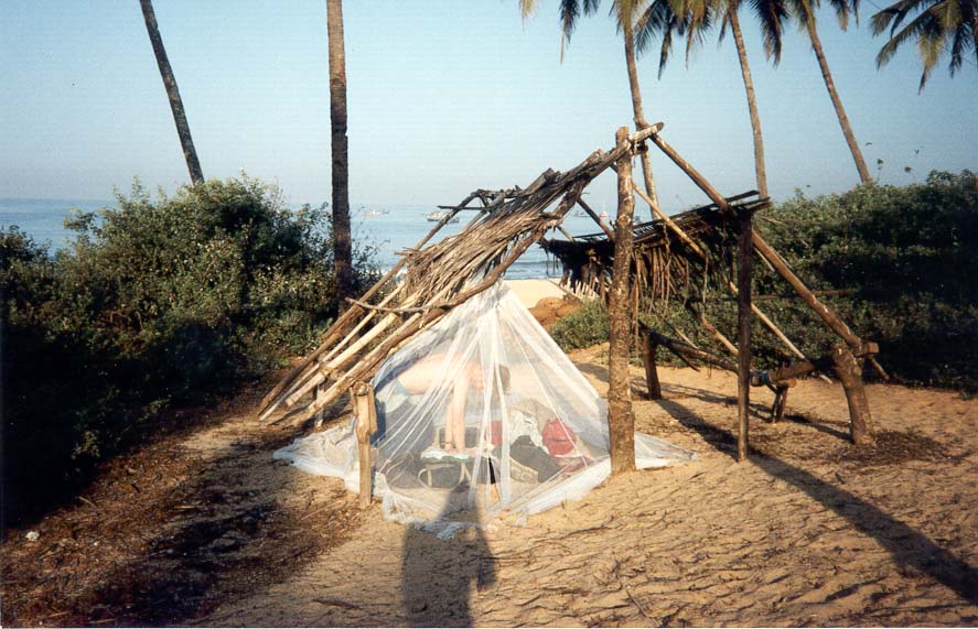 The Goan beaches!!