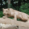 Penn State