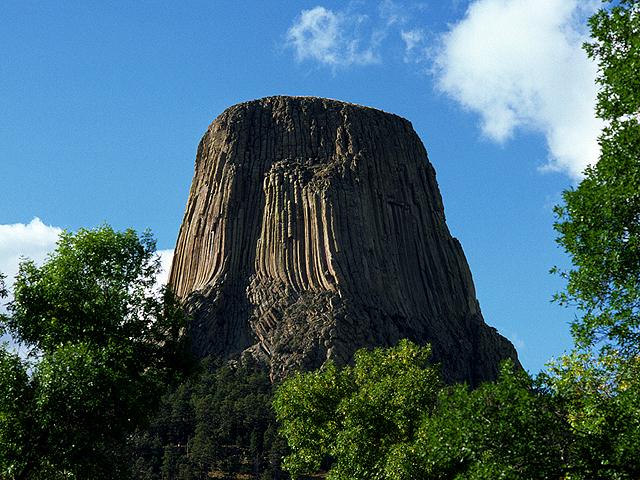 AV005.jpg (80220 bytes)