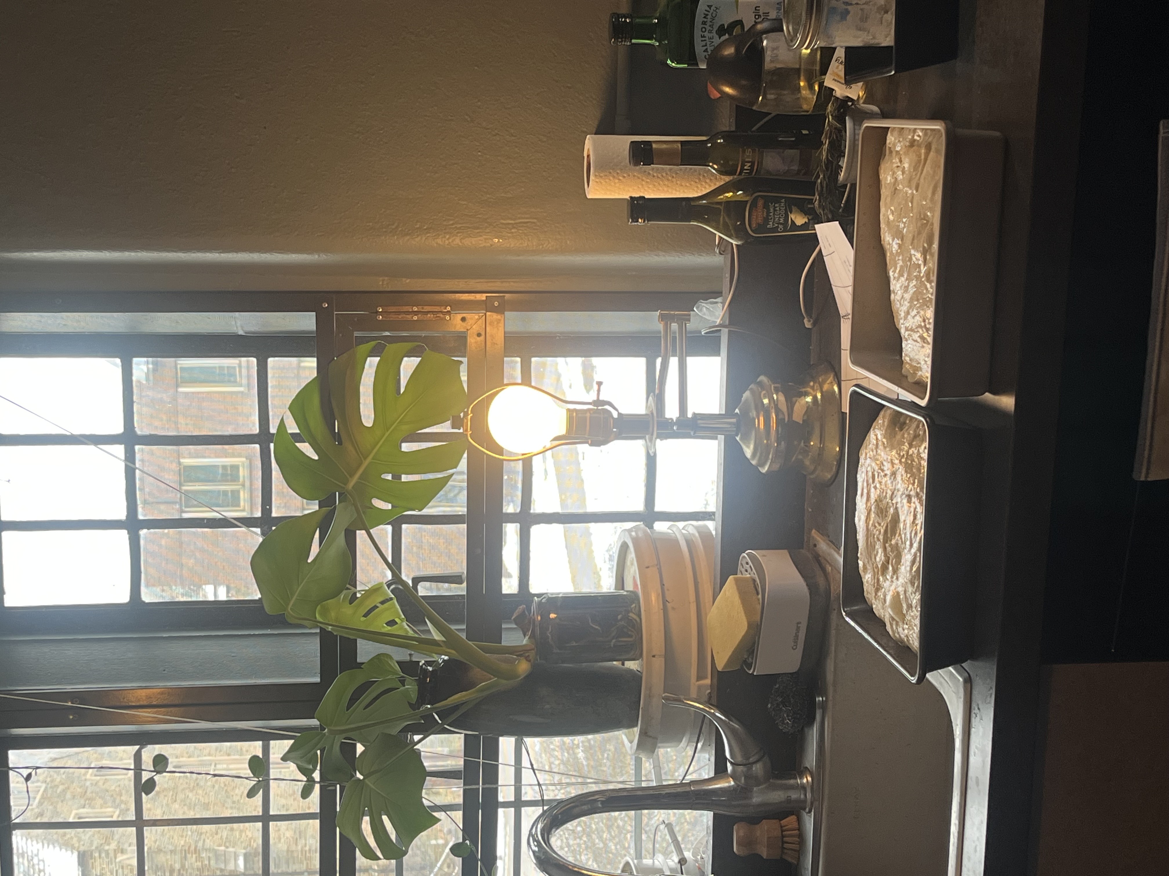 The two loaves, ready for students to arrive