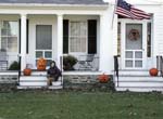 diane+pumpkins