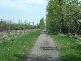 DSCF0034