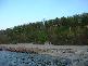 DSCF0049