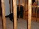DSCF0058