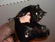 DSCF0059